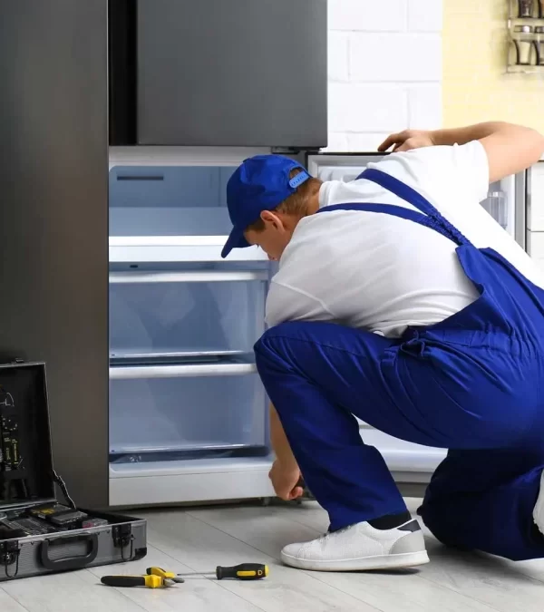 تعمیر یخچال الکترو استیل در ساوه